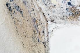 Best Residential Mold Inspection & Testing  in Fredericksburg, IA